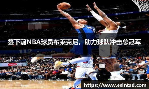 签下前NBA球员布莱克尼，助力球队冲击总冠军